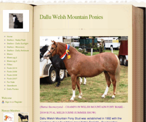 dalluwelshstud.com: Home - Dallu Welsh Mountain Ponies
dallu welsh mountain pony stud breeding quality section A welsh mountain ponies.