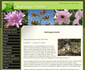 asphaugen.com: Asphaugen planter
Lite planteutsalg med stort utvalg stauder for tøfft klima. Arctic nurcery with extreme plants
