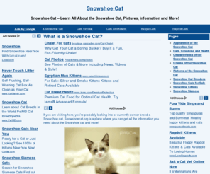 snowshoecat.org: Snowshoe Cat - Learn all about the Snowshoe Cat
Here at SnowshoeCat.org you will find all and any information about the Snowshoe Cat. If you are interested in anything related to the Snowshoe Cat, this is the place to go!