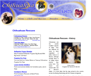 chihuahua-rescues.com: Chihuahuas
Factual information on the breed, highlighting rescues, clubs, and pictures, including links of Chihuahua breeders.