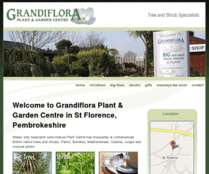 grandiflora.co.uk: Grandiflora Plant & Garden Centre, Tenby, Pembrokeshire, West Wales
Garden Centre, Based in Tenby, Pembrokeshire as a family run business well known for supplying Christmas Trees, Plants and Gardening supplies throughout Tenby, Pembrokeshire and West Wales