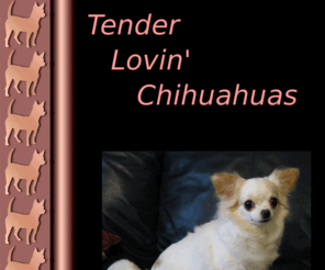 tenderlovinchihuahuas.com: TLC's TenderLovinChihuahuas home page
I'm a Chihuahua breeder/exhibitor. Show/breeding prospects available to approved homes. Puppies have AKC champion bloodlines. My puppies are raised in my home and are well socialized. All puppies and adults are current on vaccinations and are parasite free