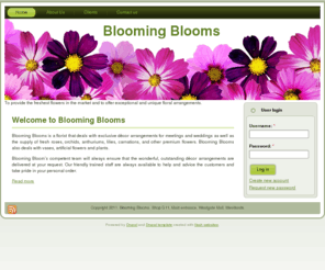 bloomingblooms.com: Blooming Blooms | Flowers Everyday Funfare
