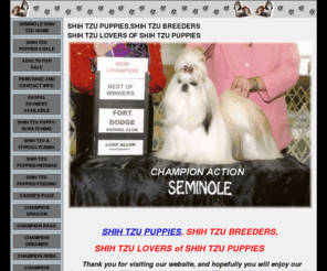 seminoleshihtzus.com: Shih Tzu Puppy, Buy Shih Tzu Puppy, Buy Shih Tzu Puppies, Tzu Puppies
Buy Shih Tzu Puppy:  Buy Shih Tzu Puppy, Shih Tzu Puppies at Seminole Shih Tzus offering Tzu Shih Puppies, Tzu Shih Puppy, Buy Shih Tzu Puppies a website dedicated to the Shih Tzu Puppies.