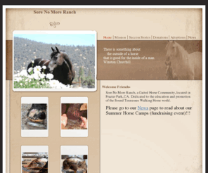 twhrescue.org: Home
California Non-profit Tennessee Walking Horse Rescue and gaited horse rescue and adoption facilityindex page