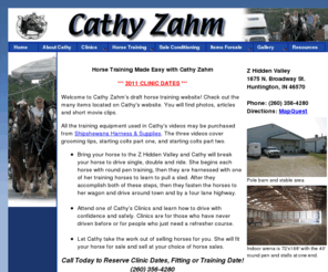 Cathy Zahm Bar Halter - Shipshewana Harness & Supplies