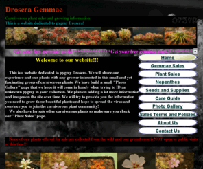 droseragemmae.com: Drosera gemmae - Home
This small carnivorous plant nursery is family operated and it's our hobby. We will try to provide you the information you need to grow pygmy drosera. Pygmy drosera plants and gemmae sale! droseragemmae, pygmy drosera gemmae sale, gemmae for sale, plant