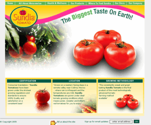 sundiatomato.com: Sundia Tomato
