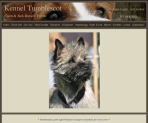 tumblescot.net: Kennel Tumblescot
Kennel Tumblescot - Cairn & Jack Russell Terrier