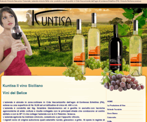 vini-sicilia.com: Rosso Bianco vini Belice Sicilia Grillo Grecanico Catarratto
Azienda vinicola siciliana che produce vino rosso e bianco di sicilia nella contrada di contessa entellina produce vini di qualità.