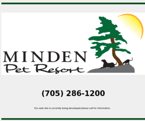 mindenpetresort.com: Minden Pet Resort
