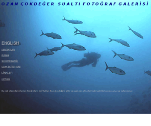 ozancokdeger.com: OZAN COKDEGER SUALTI FOTOGRAF GALERISI
Gallery for underwater photography, photographs of fishes, corals, scuba diving. Images from the oceans.