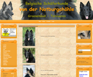 notburgahoehle.de: Belgische Schäferhunde von der Notburgahöhle
Belgische Schäferhunde von der Notburgahöhle - Groenendael und Tervueren. Die ist unsere Startseite. Sie werden informiert über unsere Zucht und erfahren Neuigkeiten um uns. Wir zeigen ihnen unsere Stammhunde und setzen links zu interessante Seiten.