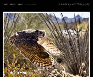 rhondaspencer.com: Rhonda Spencer Photography
Rhonda Spencer Photography -PhotoBlog: Great Horned Owl, 