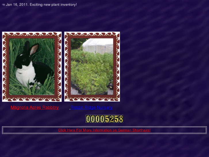 www.rabbitridgenursery.net
