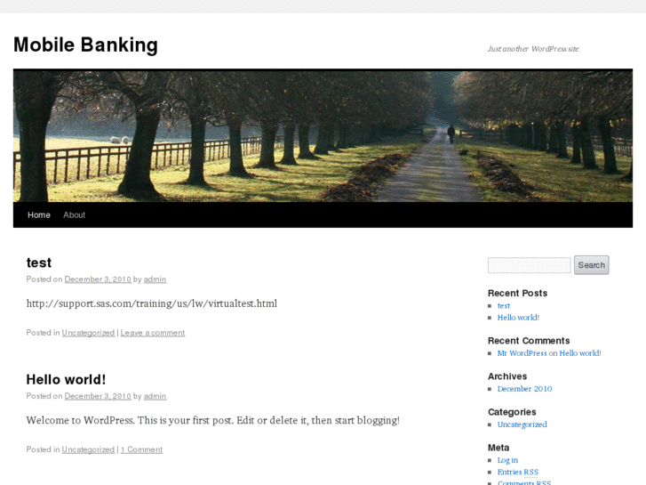 www.mobilebankingsoftware.net