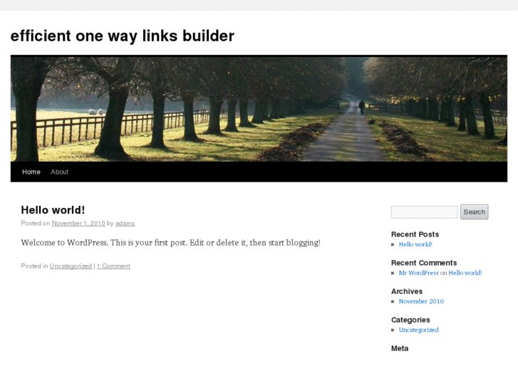 www.onewaylinksbuilder.com
