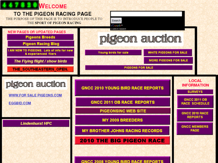 www.thebigpigeonsrace.com