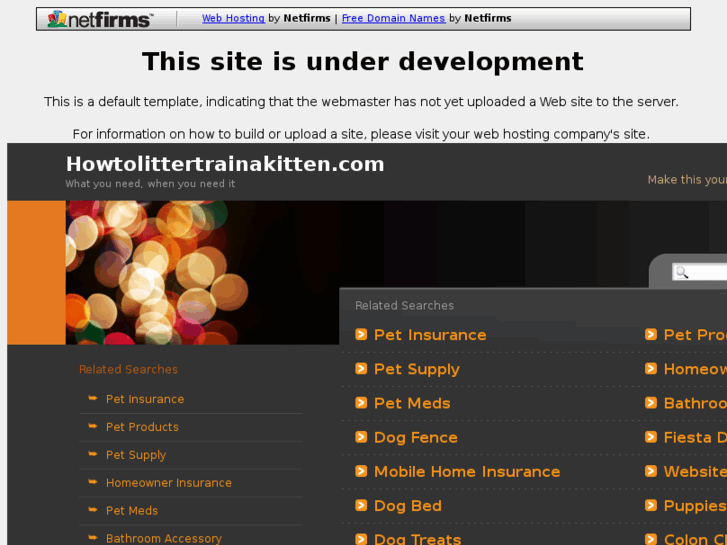 www.howtolittertrainakitten.com
