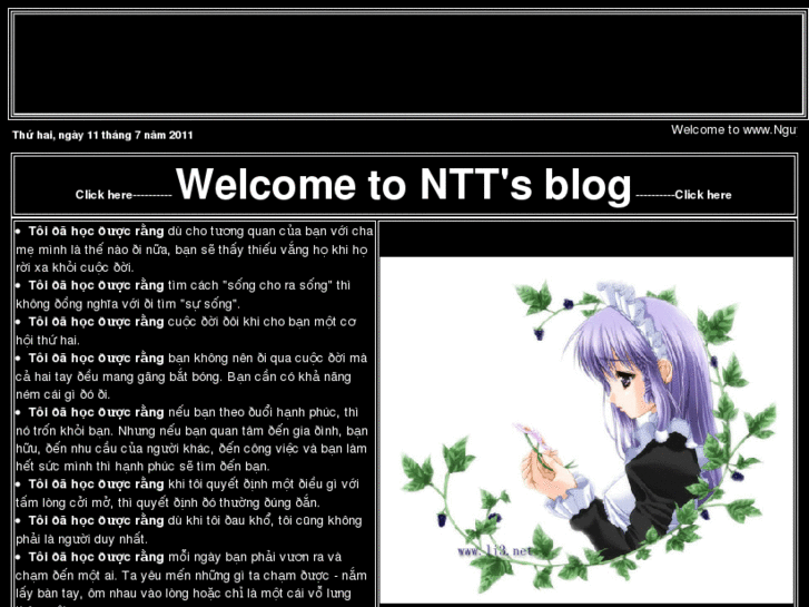 www.nguyenthanhtu.net