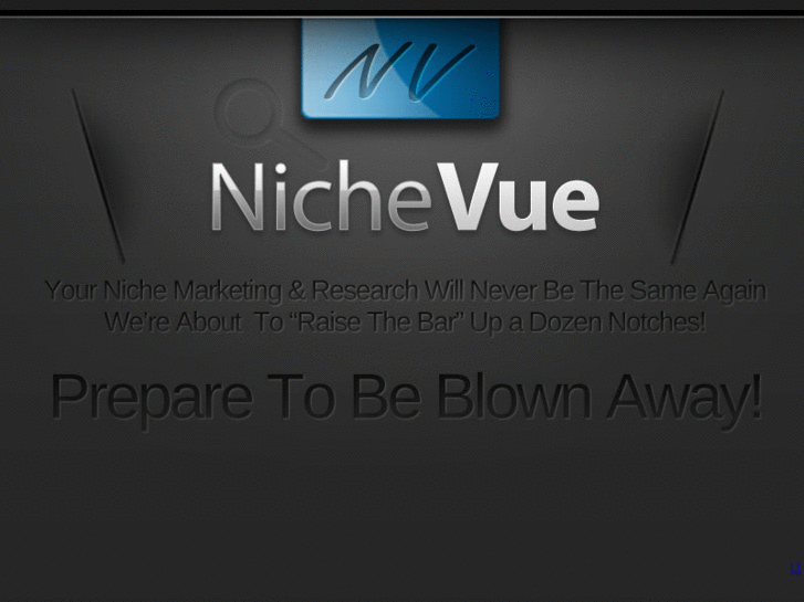 www.nichevue.com