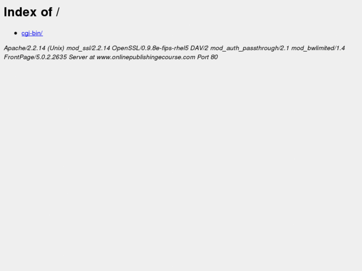 www.onlinepublishingecourse.com