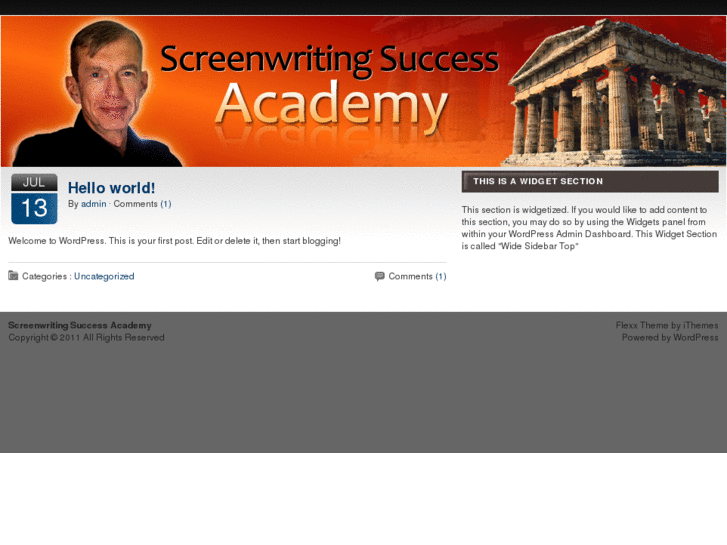 www.screenwritingsuccessacademy.net