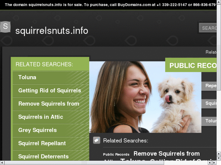 www.squirrelsnuts.info