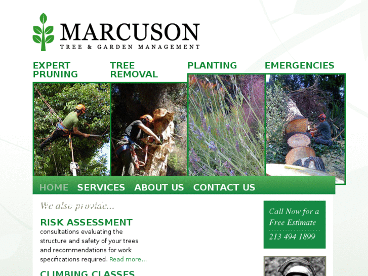 www.marcusontreeworks.com