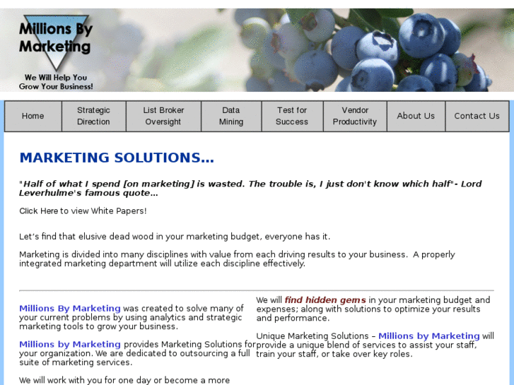 www.marketingmonetizer.com