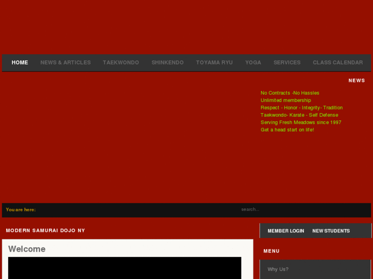 www.modernsamurai.net