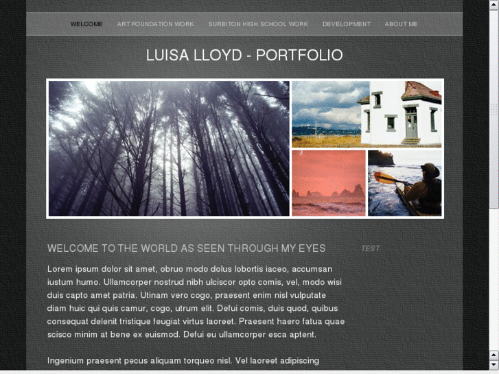 www.luisalloydgraphics.net