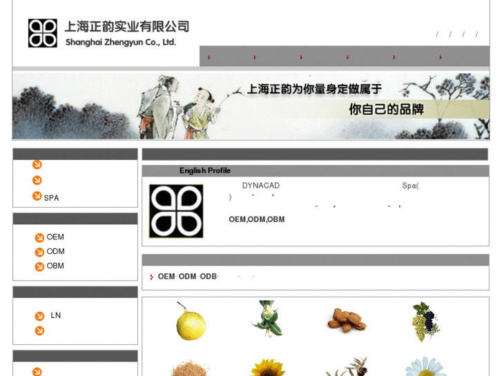 www.zhengyun.net