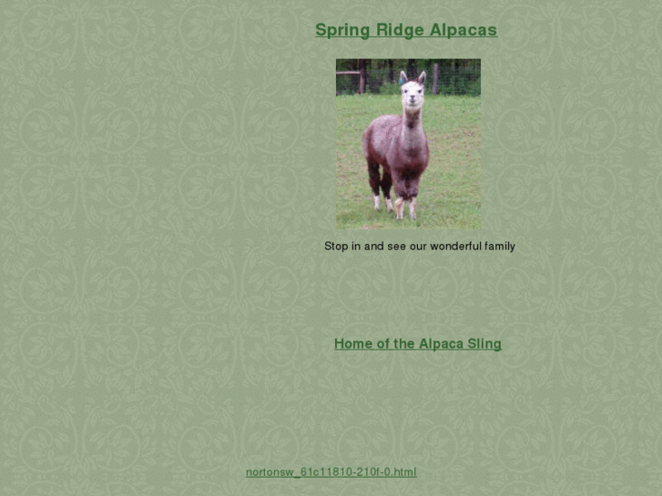 www.springridgealpacas.com