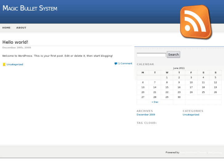 www.magicbulletsystem.net