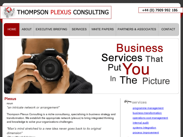 www.thompson-plexus-consulting.com