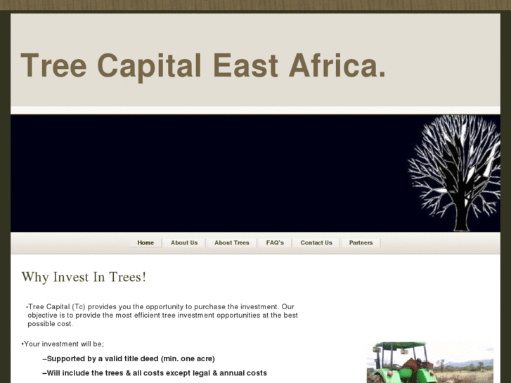 www.treecapitalea.com