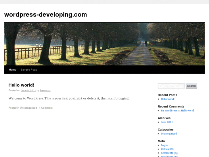 www.wordpress-developing.com