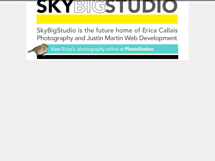 www.problemsolvingstudio.com