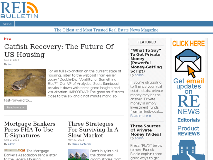 www.reibullitain.com