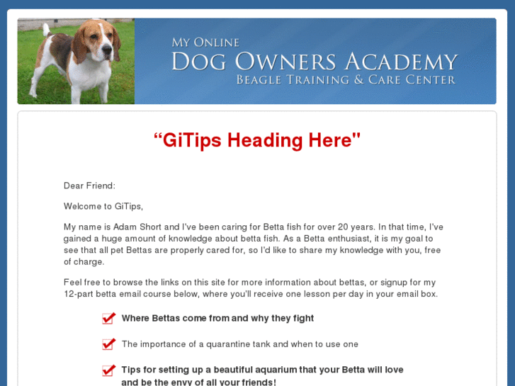 www.gitips.com
