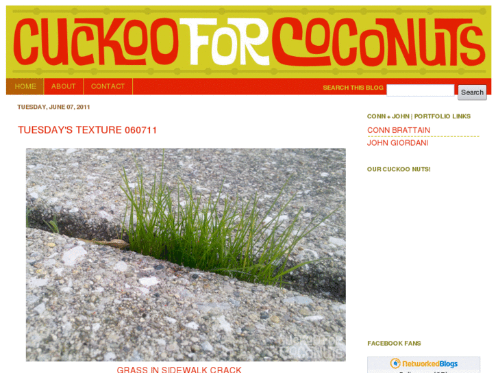 www.cuckooforcoconuts.com