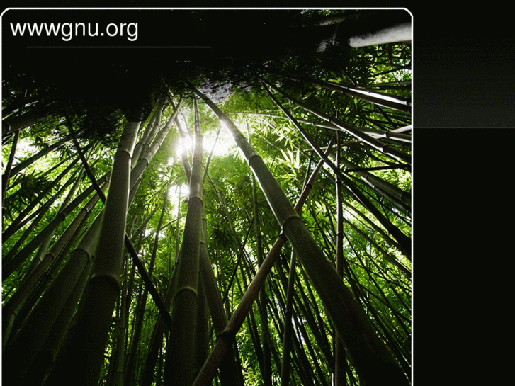 www.wwwgnu.org