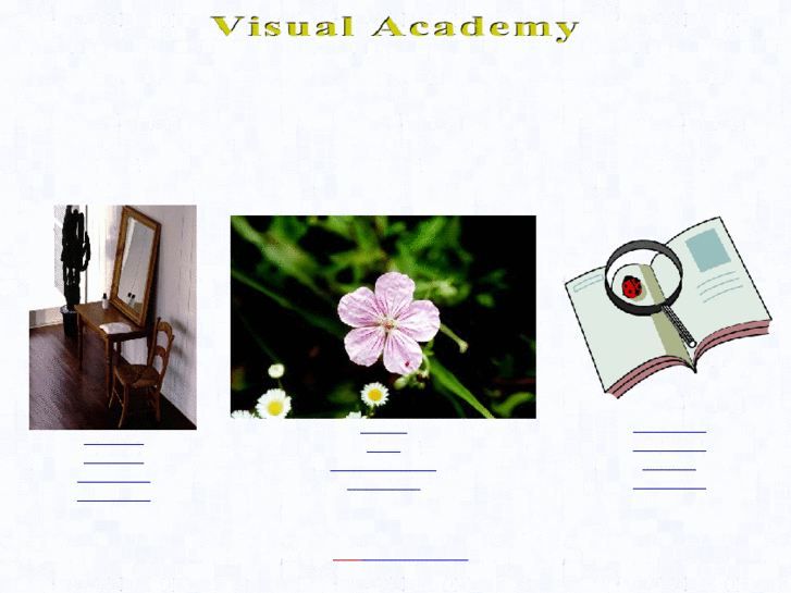 www.visual-academy.net