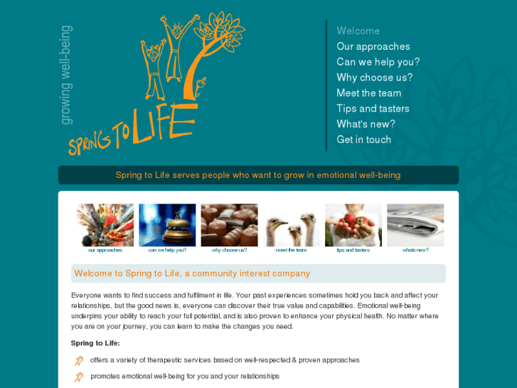 www.springtolife.org
