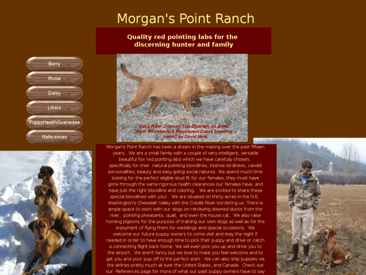 www.morgansredpointinglabs.com