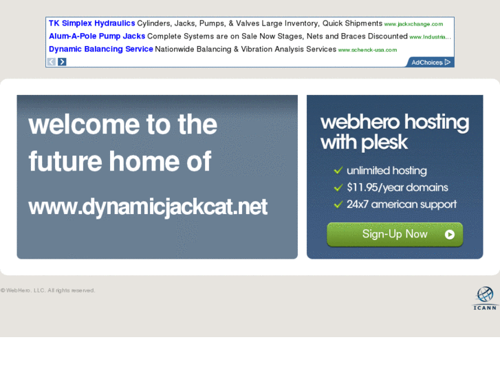 www.dynamicjackcat.net