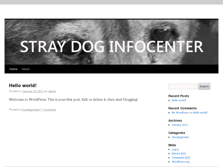 www.straydoginfocenter.org