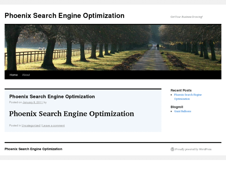 www.phoenix-searchengine-optimization.com