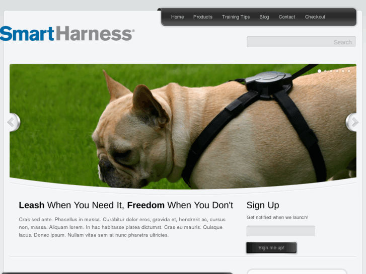 www.smartharness.org